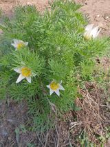 팜모닝 자유주제·자유게시판 게시글 이미지