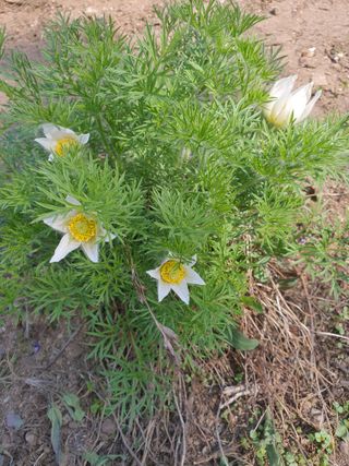 안비님의 자유주제 · 자유게시판 작성글 사진