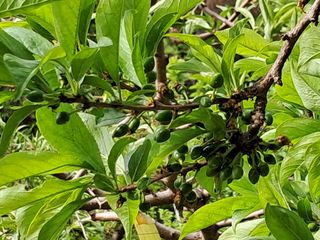 시연아빠님의 자유주제 · 사진전 작성글 사진