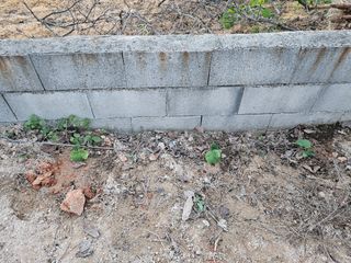 유명숙님의 자유주제 · 자유게시판 작성글 사진