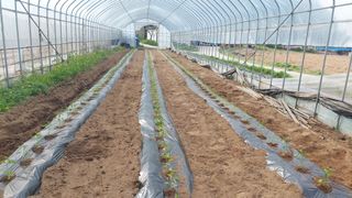 강원도 횡성군님의 자유주제 · 자유게시판 작성글 사진