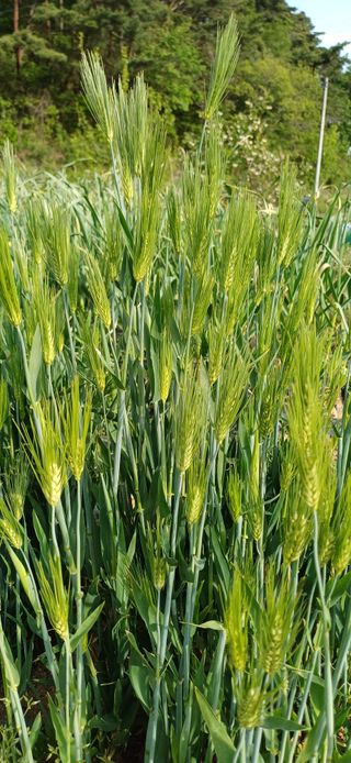 이강재님의 자유주제 · 자유게시판 작성글 사진