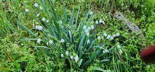 품질좋은농산물생산님의 자유주제 · 자유게시판 작성글 사진