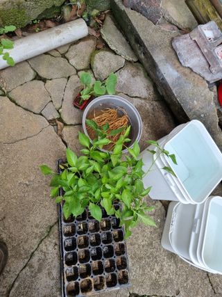 권오정님의 자유주제 · 자유게시판 작성글 사진