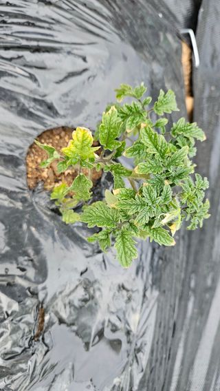 김미옥님의 자유주제 · 자유게시판 작성글 사진