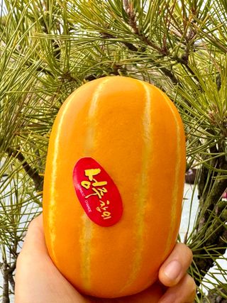 농부손녀님의 작성글 사진