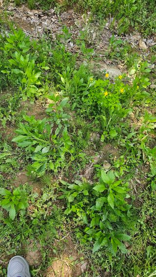 아지님의 자유주제 · 자유게시판 작성글 사진