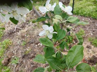 알 수 없음님의 자유주제 · 자유게시판 작성글 사진