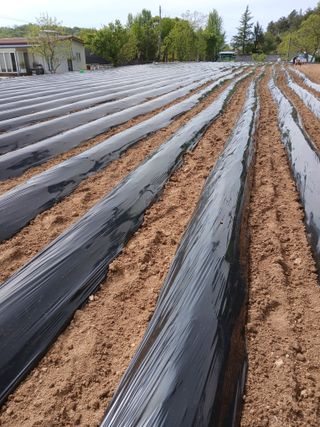 최남옥님의 자유주제 · 자유게시판 작성글 사진