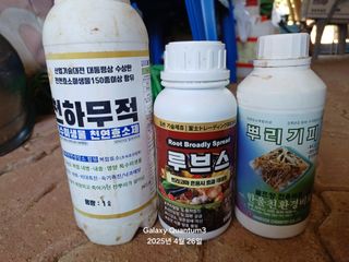 전진규.해돋이님의 자유주제 · 자유게시판 작성글 사진