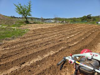 이기연님의 자유주제 · 자유게시판 작성글 사진