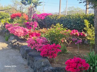 최갑수 님의 자유주제 · 사진전 작성글 사진