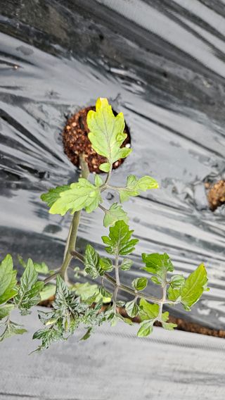 김미옥님의 자유주제 · 자유게시판 작성글 사진