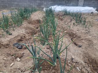 조상희님의 자유주제 · 자유게시판 작성글 사진