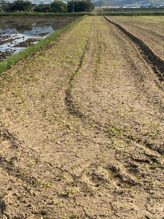 임태묵님의 자유주제 · 자유게시판 작성글 사진