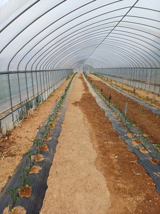 해아래님의 자유주제 · 자유게시판 작성글 사진