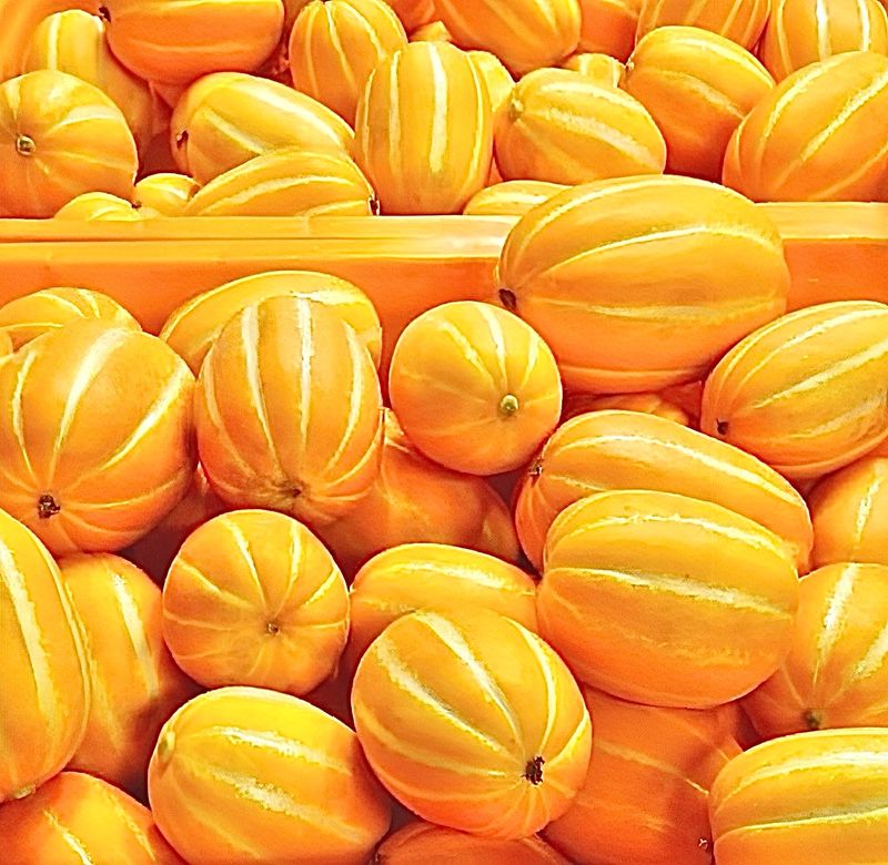 농부손녀님의 장터 판매 상품 [성주 꿀 참외 10kg 35,000원 (무료배송)] 첨부 사진