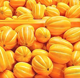 농부손녀님의 작성글 사진