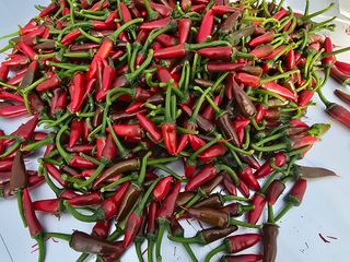 나주 박정화님의 자유주제 · 자유게시판 작성글 사진