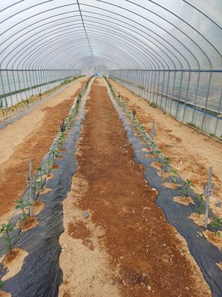 해아래님의 자유주제 · 자유게시판 작성글 사진