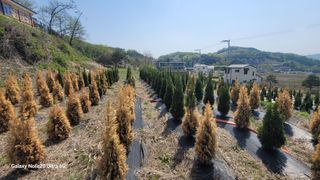 박천석님의 자유주제 · 자유게시판 작성글 사진