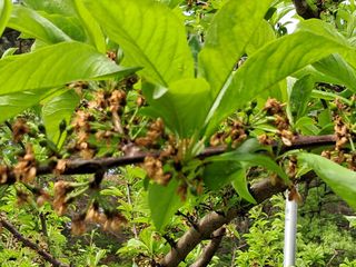 시연아빠님의 자유주제 · 사진전 작성글 사진
