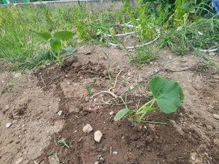 조상희님의 자유주제 · 자유게시판 작성글 사진