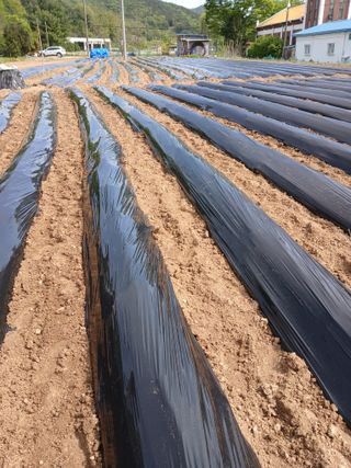 최남옥님의 자유주제 · 자유게시판 작성글 사진