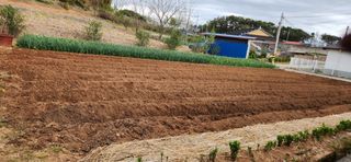 품질좋은농산물생산님의 자유주제 · 자유게시판 작성글 사진