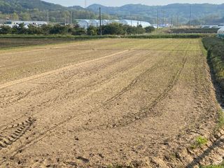 임태묵님의 자유주제 · 자유게시판 작성글 사진