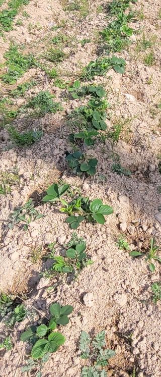 한성님의 자유주제 · 자유게시판 작성글 사진