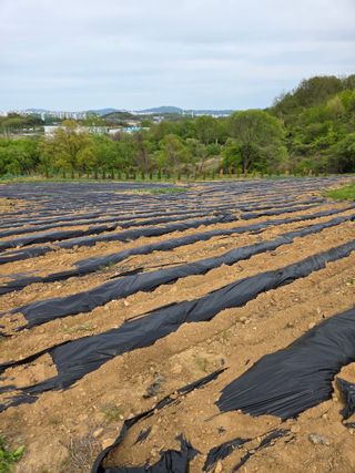 이기연님의 자유주제 · 자유게시판 작성글 사진