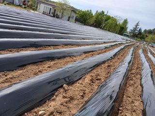 최남옥님의 자유주제 · 자유게시판 작성글 사진