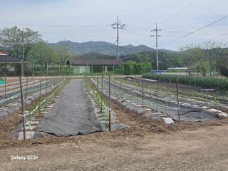 최갑수 님의 자유주제 · 사진전 작성글 사진