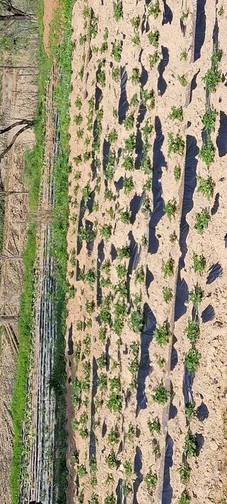 한성님의 자유주제 · 자유게시판 작성글 사진