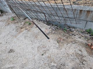 유명숙님의 자유주제 · 자유게시판 작성글 사진