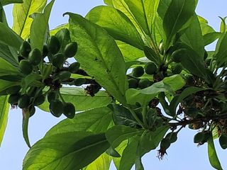 시연아빠님의 자유주제 · 사진전 작성글 사진