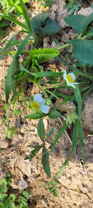 한성님의 자유주제 · 자유게시판 작성글 사진