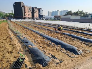 안동준 님의 자유주제 · 자유게시판 작성글 사진