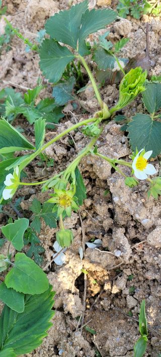 한성님의 자유주제 · 자유게시판 작성글 사진