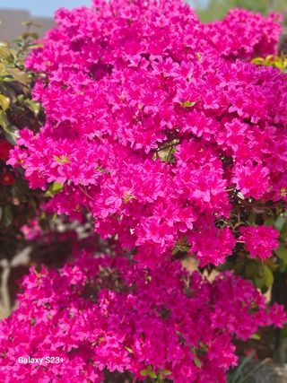 최갑수 님의 자유주제 · 사진전 작성글 사진