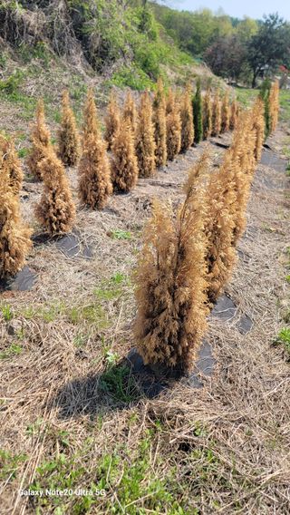 박천석님의 자유주제 · 자유게시판 작성글 사진
