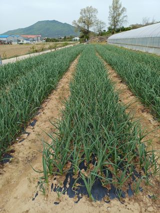 해아래님의 자유주제 · 자유게시판 작성글 사진