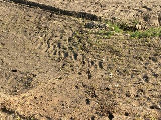 임태묵님의 자유주제 · 자유게시판 작성글 사진