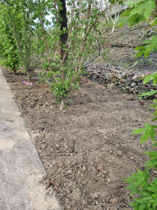 김용대님의 자유주제 · 자유게시판 작성글 사진