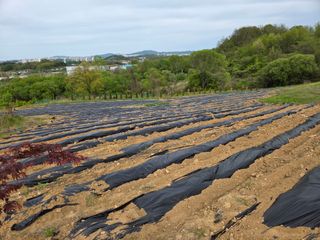 이기연님의 자유주제 · 자유게시판 작성글 사진