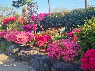 최갑수 님의 자유주제 · 사진전 작성글 사진