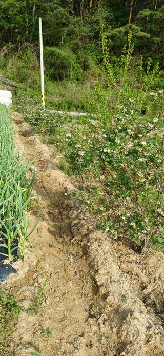 이강재님의 자유주제 · 자유게시판 작성글 사진