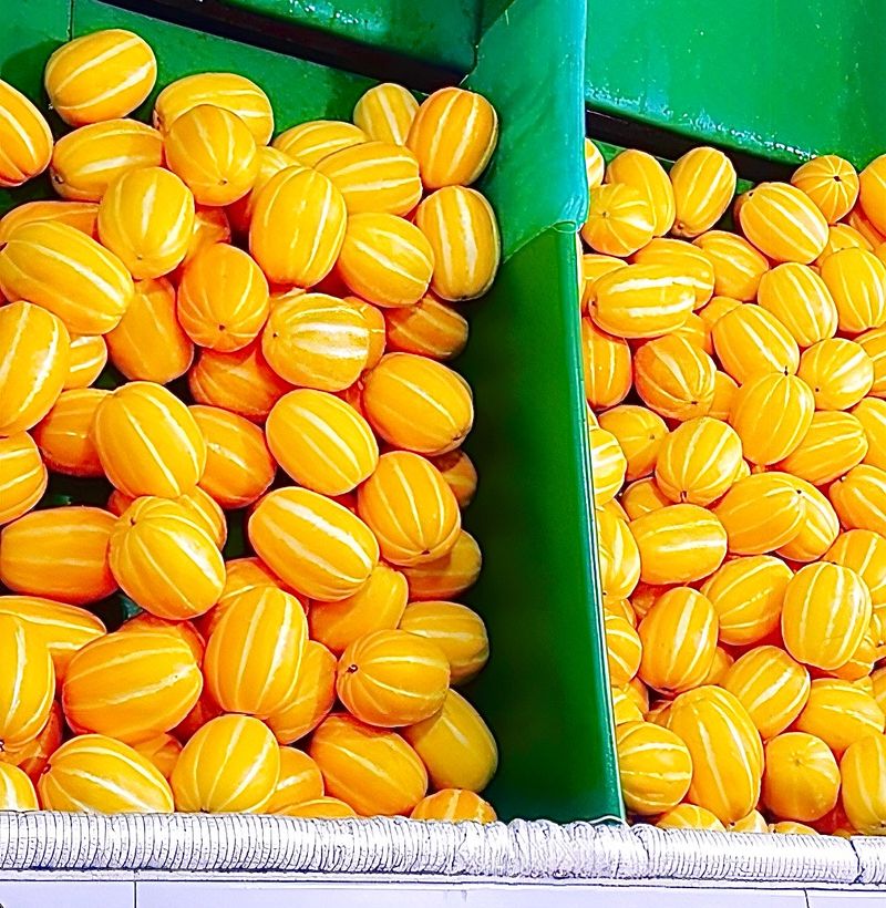 농부손녀님의 장터 판매 상품 [성주 꿀 참외 10kg 35,000원 (무료배송)] 첨부 사진