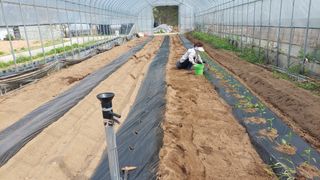 강원도 횡성군님의 자유주제 · 자유게시판 작성글 사진